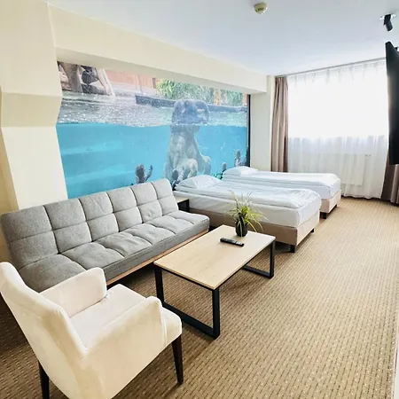 Hotel Iness 3*